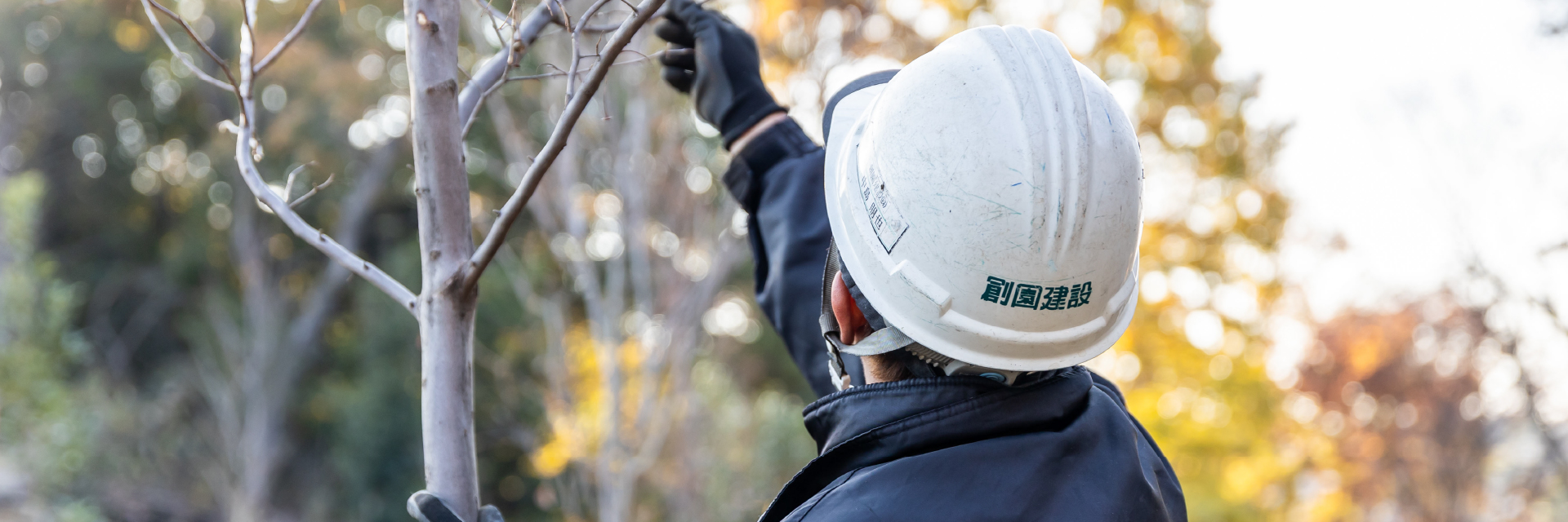 ページヘッダー